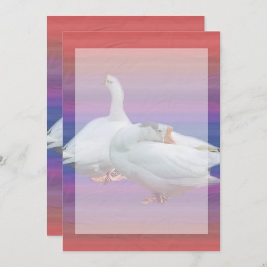 Leereinladung, alle Zwecke Einladung (Vorne/Hinten)