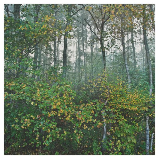 Leerer Kiefern-Wald Stoff (Muster)