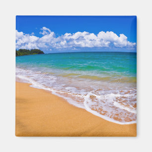 Leerer Strand und blaues Wasser Magnet