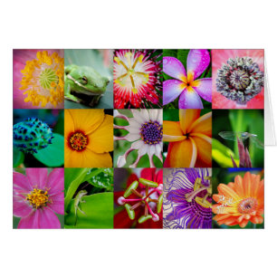Leeres 12x18 der Blumen und der Geschöpfe