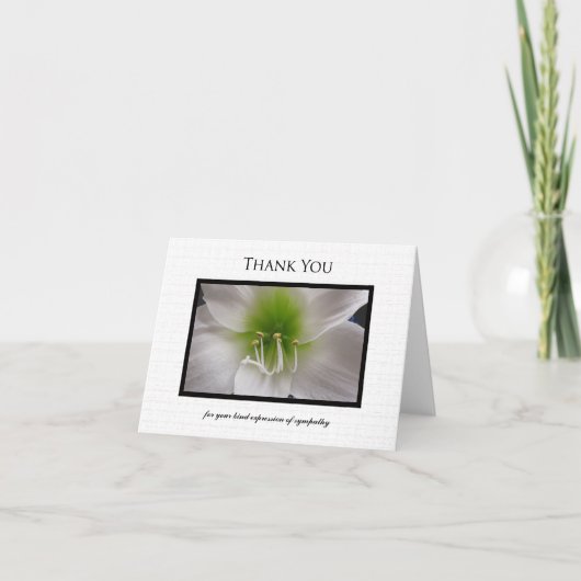 Leeres Beileid Danke Note Card - Amaryllis (Vorderseite)