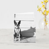 leeres Hundnotecard Karte (Gelbe Blume)