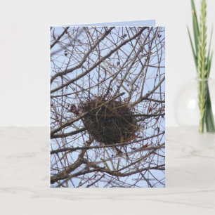 Leeres Nest Karte
