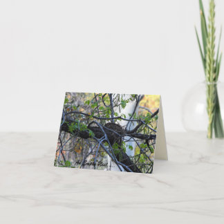 Leeres Nest Notecard Karte