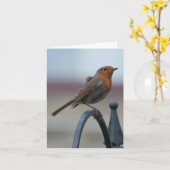 Leeres Notecard mit britischem Robin Karte (Gelbe Blume)