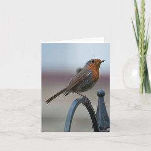 Leeres Notecard mit britischem Robin Karte