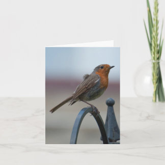 Leeres Notecard mit britischem Robin Karte