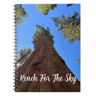 Leeres Notizbuch mit Sequoias aus Yosemite Notizblock