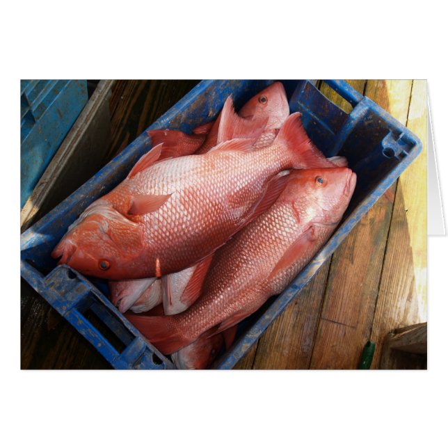 Leerkarte mit Hintergrund des roten Schnappschusse (Vorderseite (Horizontal))