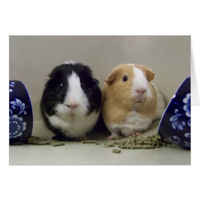 Leerlaufkarte "Tea-Time" (Vorderseite (Horizontal))