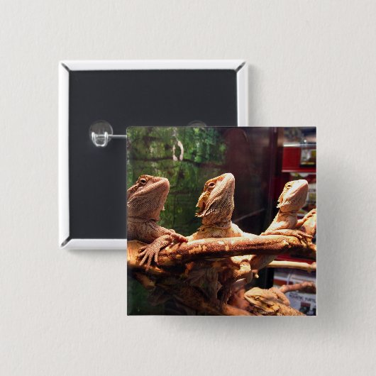 Leezard Trio Button (Vorne & Hinten)