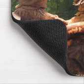 Leezard Trio Mousepad (Ecke)
