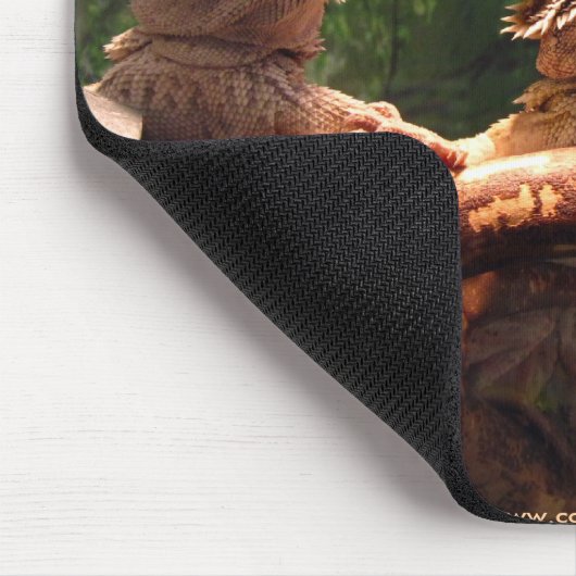 Leezard Trio Mousepad (Ecke)