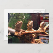 Leezard Trio Postkarte (Vorne/Hinten)