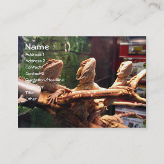 Leezerds Visitenkarten Visitenkarte