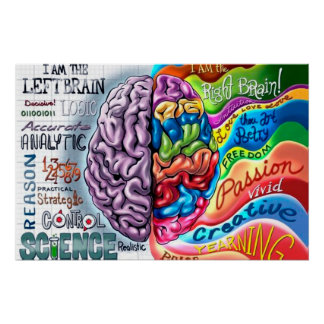 Left and right side of the brain poster