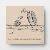 Leftovers Fotoplatte (Vorderseite)