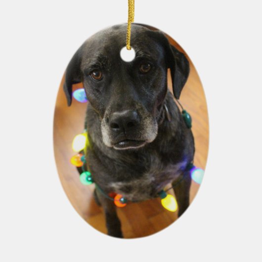 Lefy + Lichter Hoiday Verzierung Keramik Ornament (Vorne)