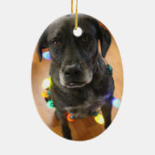 Lefy + Lichter Hoiday Verzierung Keramik Ornament (Hinten)