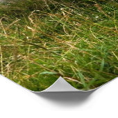 Leganany Dolmen Print Poster (Ecke)