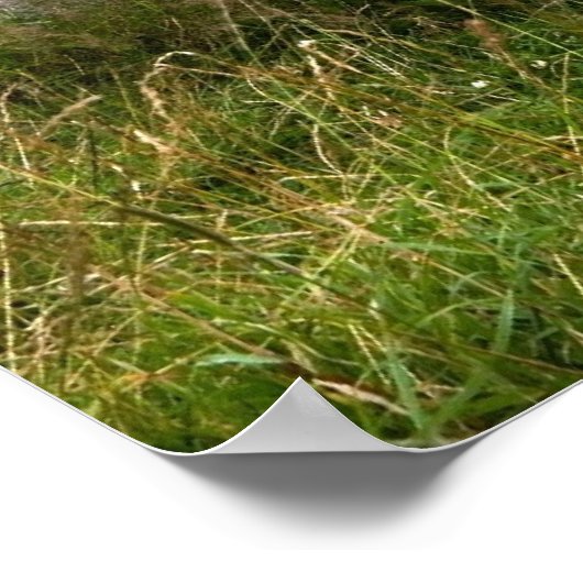 Leganany Dolmen Print Poster (Ecke)