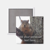 Lege dieses Eichhörnchen auf deinen Kühlschrank Magnet (Vorderseite/Rückseite)