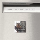 Lege dieses Eichhörnchen auf deinen Kühlschrank Magnet (In Situ (Geschirrspüler))