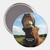 Lege mich zurück! Pferdemagnet Magnet (Vorderseite/Rückseite)