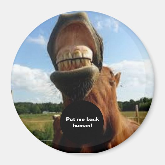 Lege mich zurück! Pferdemagnet Magnet (Vorne)
