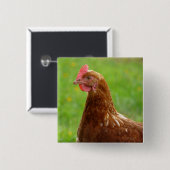 Legehenne-Rhode Island Rot-Huhn Button (Vorne & Hinten)