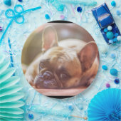 Legen der französischen Bulldogge Pappteller (Party)