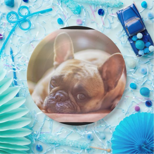 Legen der französischen Bulldogge Pappteller (Party)