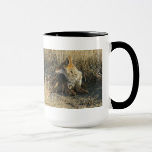 Legen des Kojote-R16 Tasse