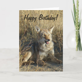 Legen des Kojote-R18 Karte