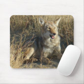 Legen des Kojote-R18 Mousepad (Mit Mouse)