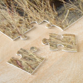 Legen des Kojote-R18 Puzzle (Seite)