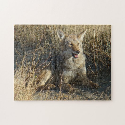 Legen des Kojote-R18 Puzzle (Horizontal)