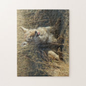 Legen des Kojote-R18 Puzzle (Vertikal)