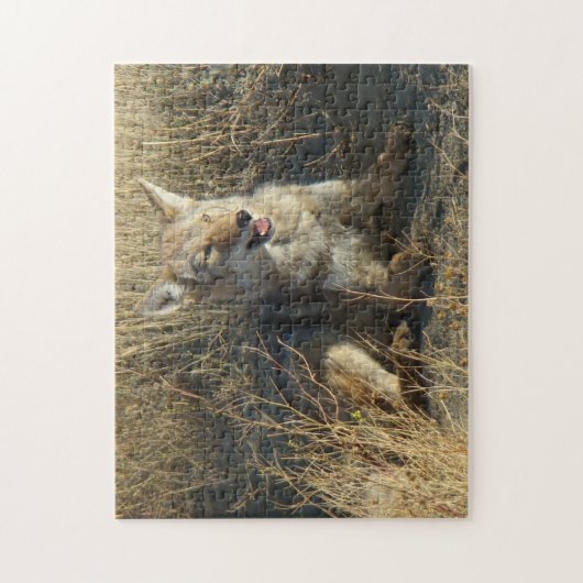 Legen des Kojote-R18 Puzzle (Vertikal)