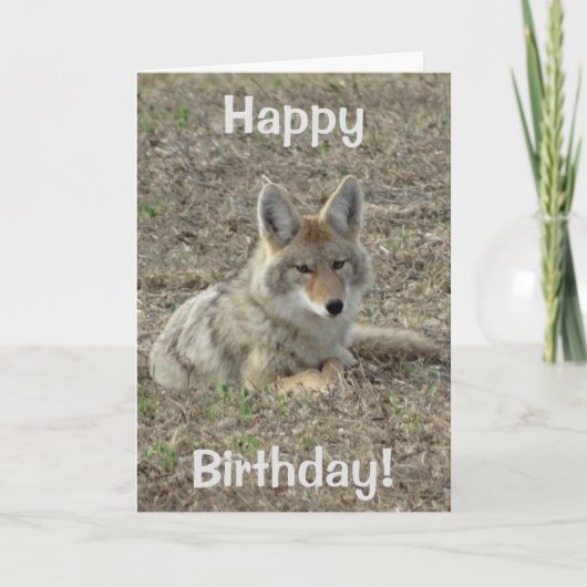 Legen des Kojote-R22 Karte (Vorderseite)