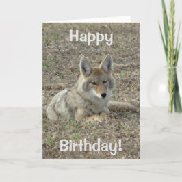 Legen des Kojote-R22 Karte