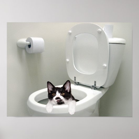 Legen Sie den Deckel ab. Poster (Vorne)