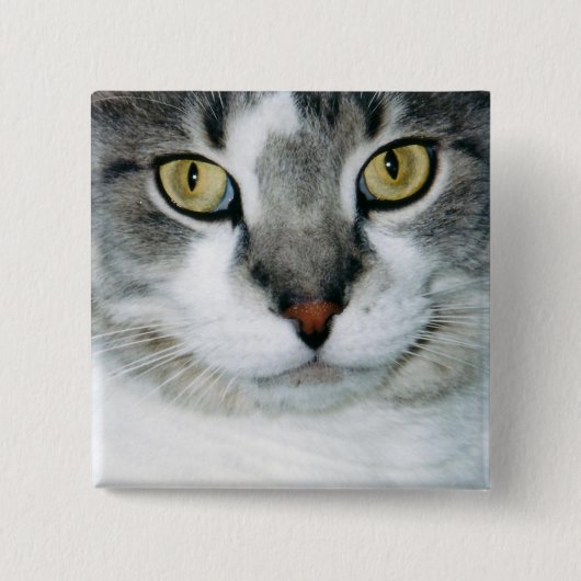 Legen Sie den Katzen-Knopf in Essig ein Button (Vorderseite)