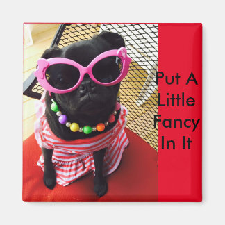 Legen Sie ein bisschen Extravagant drin Magnet