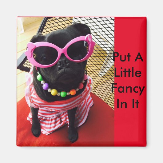 Legen Sie ein bisschen Extravagant drin Magnet (Vorne)