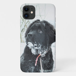 Legen Sie Ihr eigenes Foto in Ihr Neufundland ein Case-Mate iPhone Hülle