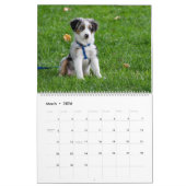 Legen Sie meine Hundbilder jeden Monat in den Kale Kalender (Mär 2026)
