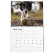 Legen Sie meine Hundbilder jeden Monat in den Kale Kalender (Feb 2026)