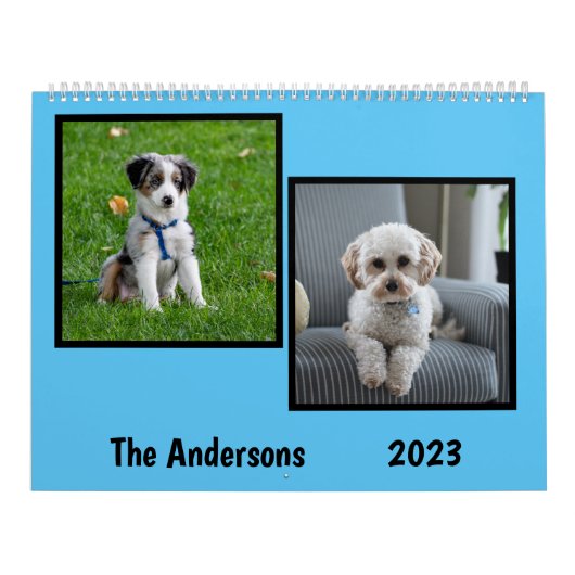 Legen Sie meine Hundbilder jeden Monat in den Kale Kalender (Titelbild)