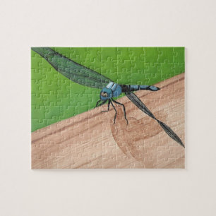 Legen Sie sie zusammen mit Blue Dragonfly auf ein  Puzzle